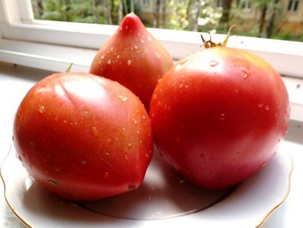 Tomato anna Russian (anna russian) Descrierea varietății, caracteristicile și recenziile