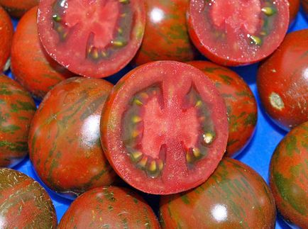 Tomatele din zebră