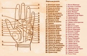 Interpretarea degetului mic în palmistry