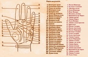 Трактування мізинця в хіромантії