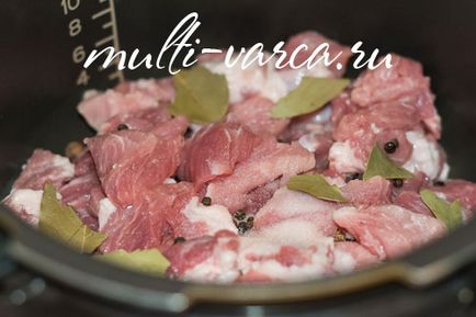 Carne de porc într-o aragaz cu mai multe presiuni