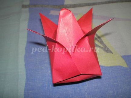 Tulips în tehnica origami