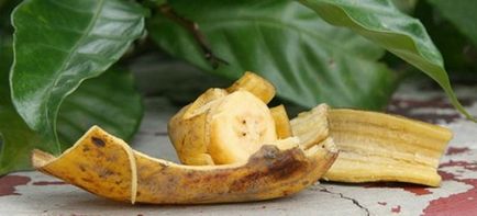 Műtrágya banán bőr szobanövények