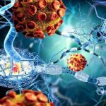 Ultrahang diagnosztika a tünetek a rák, az oka a tumorok, a készítmény, amely megmutatja, hogy hogyan és (ok) Ultrahang diagnosztika a tünetek a rák, az oka a daganatok, a készítmény, amely megmutatja, hogyan és