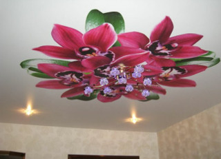 Variante de tavane întinse cu o imagine de flori, silozuri - instalarea de plafoane întinse în Moscova și