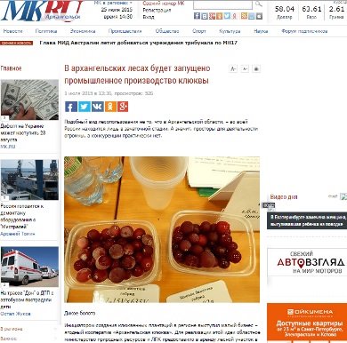 În pădurile din Arhangelsk va fi lansată producția industrială de afine - cooperativă de fructe de pădure