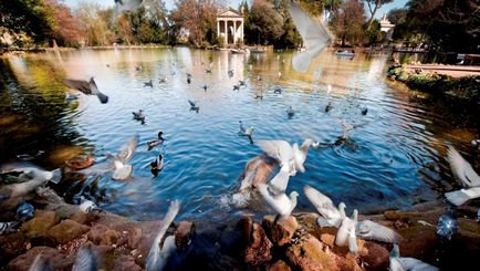 Villa Borghese din Roma, Borghese Gallery pe hartă