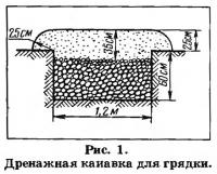 Вирощування і розведення женьшеню (город - інші овочі)