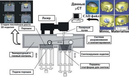 Всі статті з тегом ФІАН - зроблено у нас