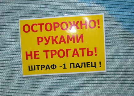 Зустріч з метеликами або один день в райському куточку, петбук - блог про домашніх вихованців