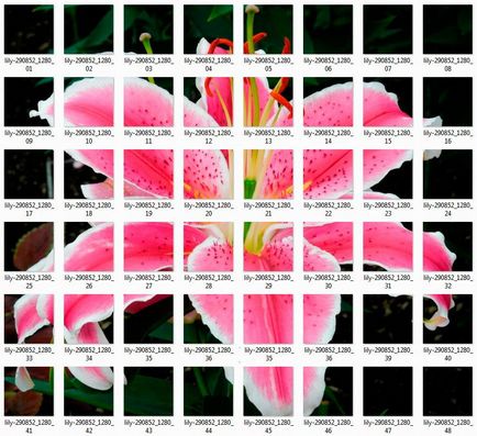 Explozia unui pixel sau Photoshop pentru începători, cum să taie o imagine în Photoshop în părți ()