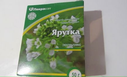 Талабан польовий (Талабан) корисні властивості тлапсі для чоловіків, застосування в народній медицині,