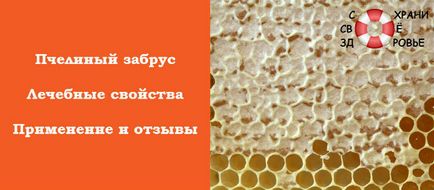 Забрус лікувальні властивості, як приймати, користь і шкода, відгуки