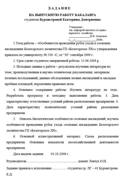 Завдання дипломної роботи бакалавра приклад