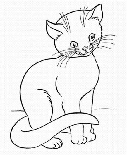 Lecție - o pisică obișnuită - (conform unei povesti în limba engleză)