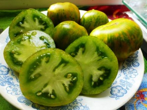 Camera verde, casa de tomate