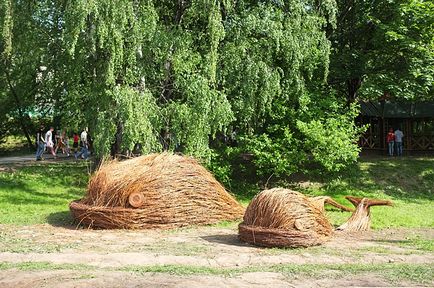 Săptămâna verde în Parcul Bitter