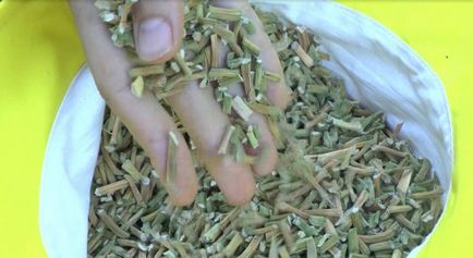 Greens fokhagyma téli receptek (főzés különböző ételek) Fokhagyma zöldek téli receptek