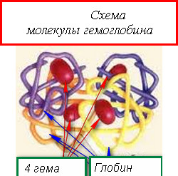 Жовтяниця, все про желтухах