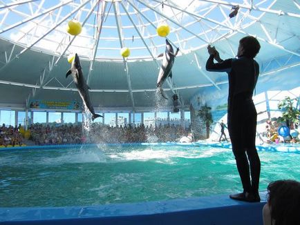 Gradina zoologica din Minsk merita o vizita!