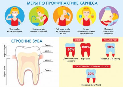 Infografiile dintilor