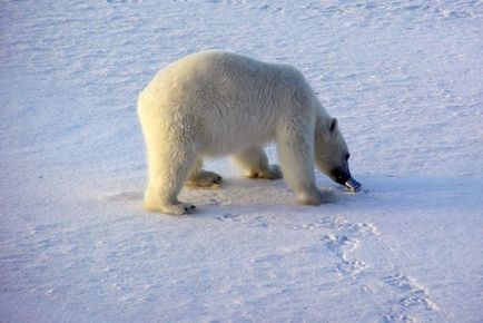 10 Interese de făcut în Norvegia