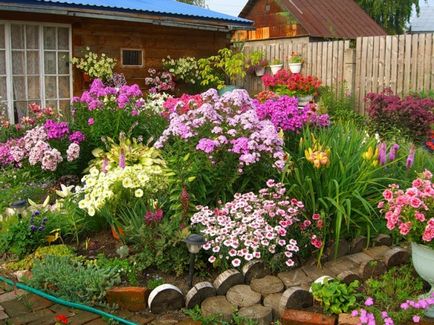 20 Garduri magnifice pentru paturi de flori, care vor ajuta la decorarea teritoriului casei