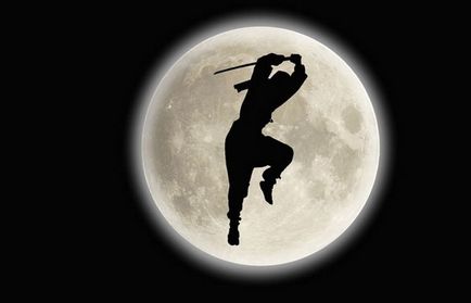 25 Fapte puțin cunoscute și fascinante despre ninja japoneză - factum