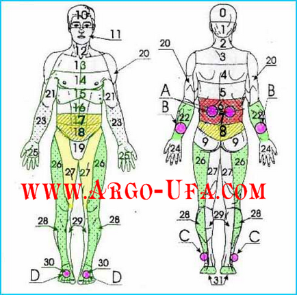 Aplicator flagrant în lupta împotriva osteochondrozei