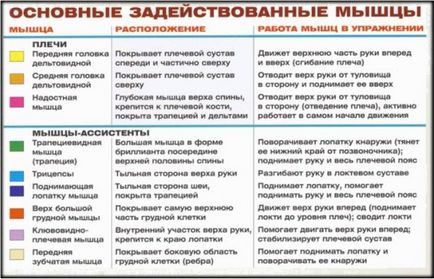 Армійський жим, блог макса Обухова, грамотний тренінг від а до я