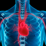 Baie după un atac de cord - pot merge, după stenting, saina