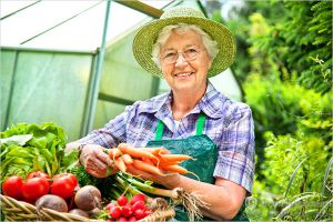 De afaceri în țară de la sol în cazul în care pentru a începe propria afacere