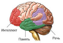 Boala Alzheimer - diagnostic și tratament