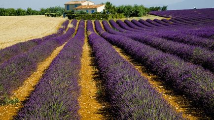 Látványosságok Provence 5 tematikus útvonalak - utazási ötletek