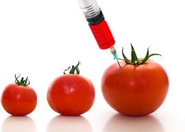 Що потрібно знати про ГМО