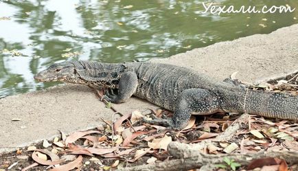 Що подивитися в Бангкоку за 2 дні самостійно маршрут карта пам'яток, Bangkok