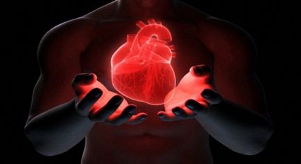 Що таке міокардіодистрофія серця причини, види, лікування