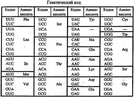 Guanină citozină, lucrări gratuite de curs, eseuri și teze