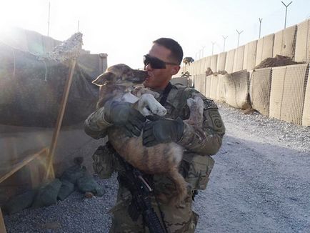 Dă-mi o laba, un prieten de 20 de imagini atingeți de soldați și animalele lor de companie credincioși