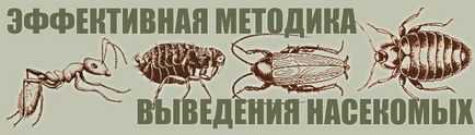 Дезінсекція (знищення тарганів) на підприємствах громадського харчування