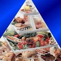 Dieta pentru miezuri - dieta și exercițiul pentru scăderea în greutate, nutriție proprie, separată