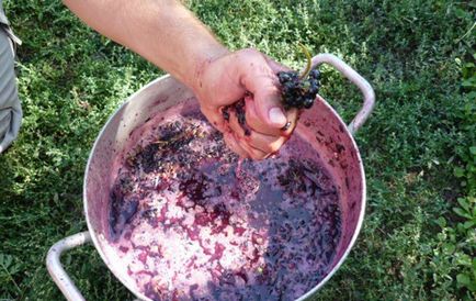 Домашнє вино з винограду Лідія рецепт приготування