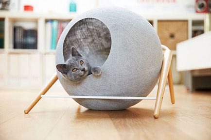 Будиночок для кішки своїми руками 70 фото-ідей