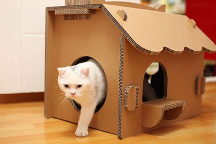 Будиночок для кішки своїми руками 70 фото-ідей