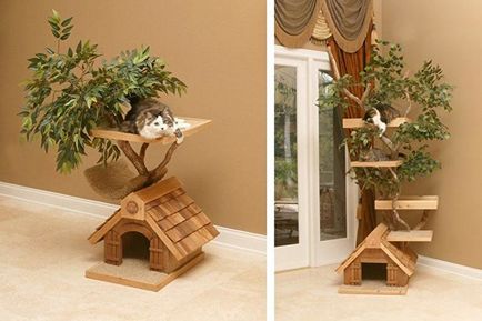Kis ház egy macska a saját kezével 70 fotó ötletek