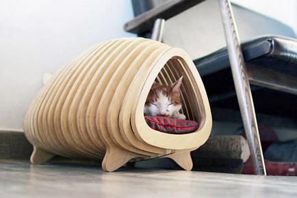 Kis ház egy macska a saját kezével 70 fotó ötletek