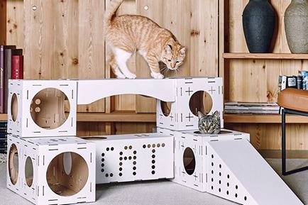 Casa pentru o pisică cu propriile mâini 70 de idei de fotografie