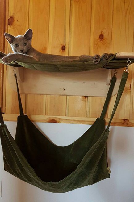Kis ház egy macska a saját kezével 70 fotó ötletek (cat) Kis ház egy macska a saját kezével 70 fotó ötletek
