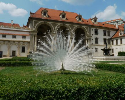 Vizitarea obiectivelor în grădina din Praga Valdstein