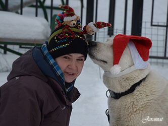 Câinii de formare în Odintsovo și Odintsovo district - de la 1600 de ruble! PUSH